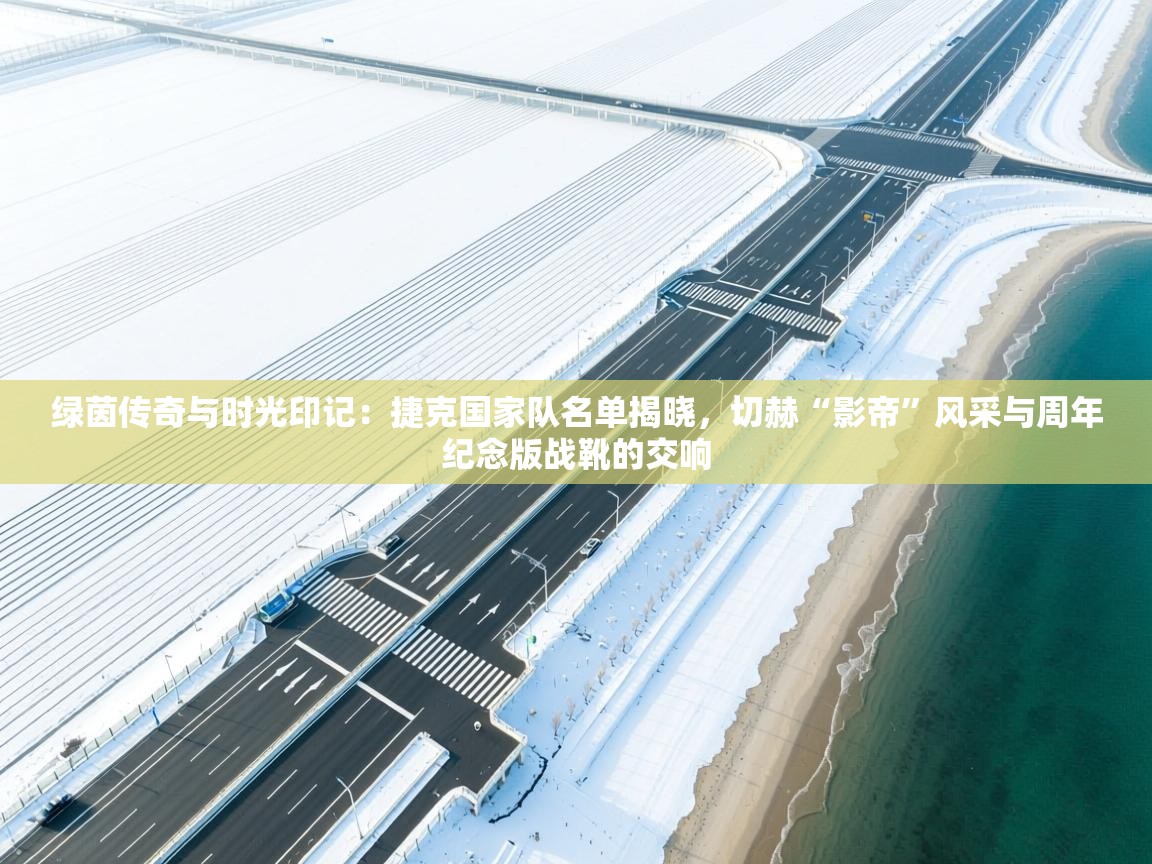 绿茵传奇与时光印记：捷克国家队名单揭晓，切赫“影帝”风采与周年纪念版战靴的交响  第2张