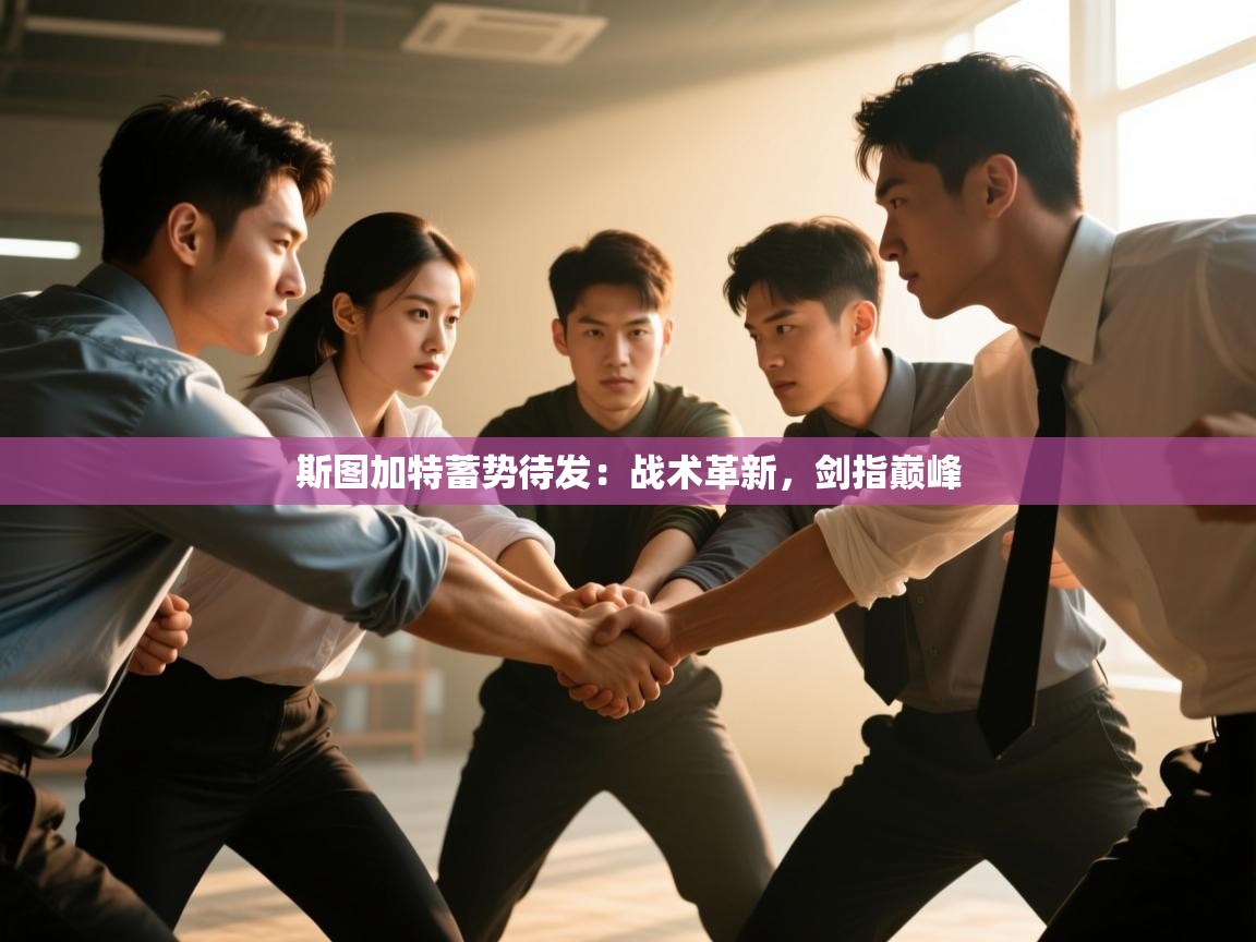 斯图加特蓄势待发：战术革新，剑指巅峰  第2张