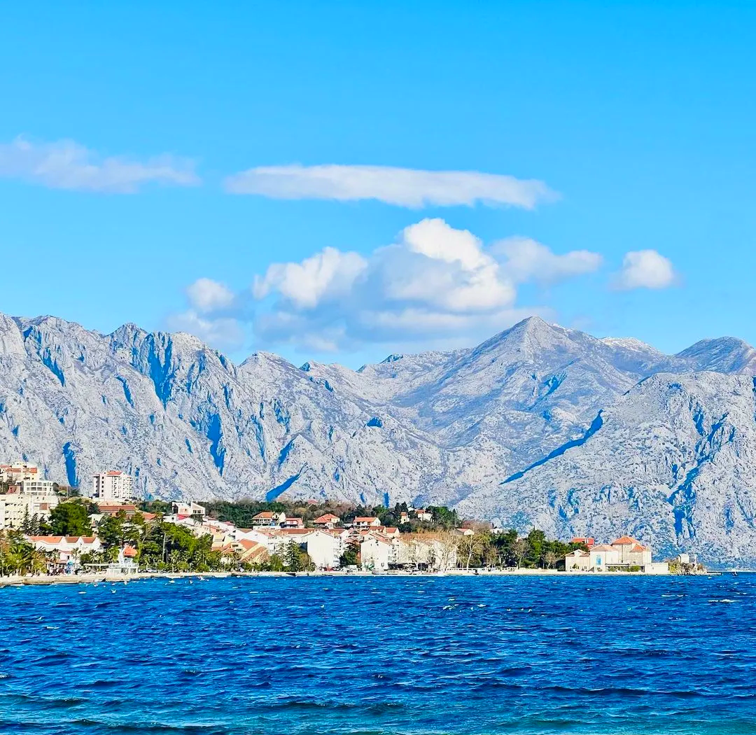 塞尔维亚逼平波黑,保住晋级希望的简单介绍 塞尔维亚逼平波黑,保住晋级希望的简单介绍