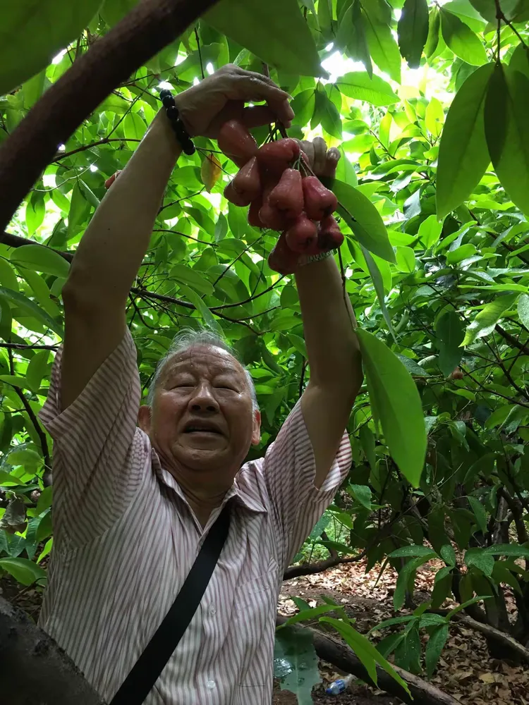 吉林森林采摘胜利果实，实现连胜的简单介绍